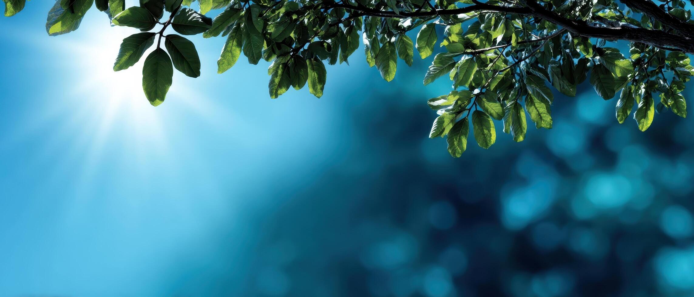 Sunlight Filtering Through Leaves Nature Scene Soft Gradient Blue Background Copyspace photo