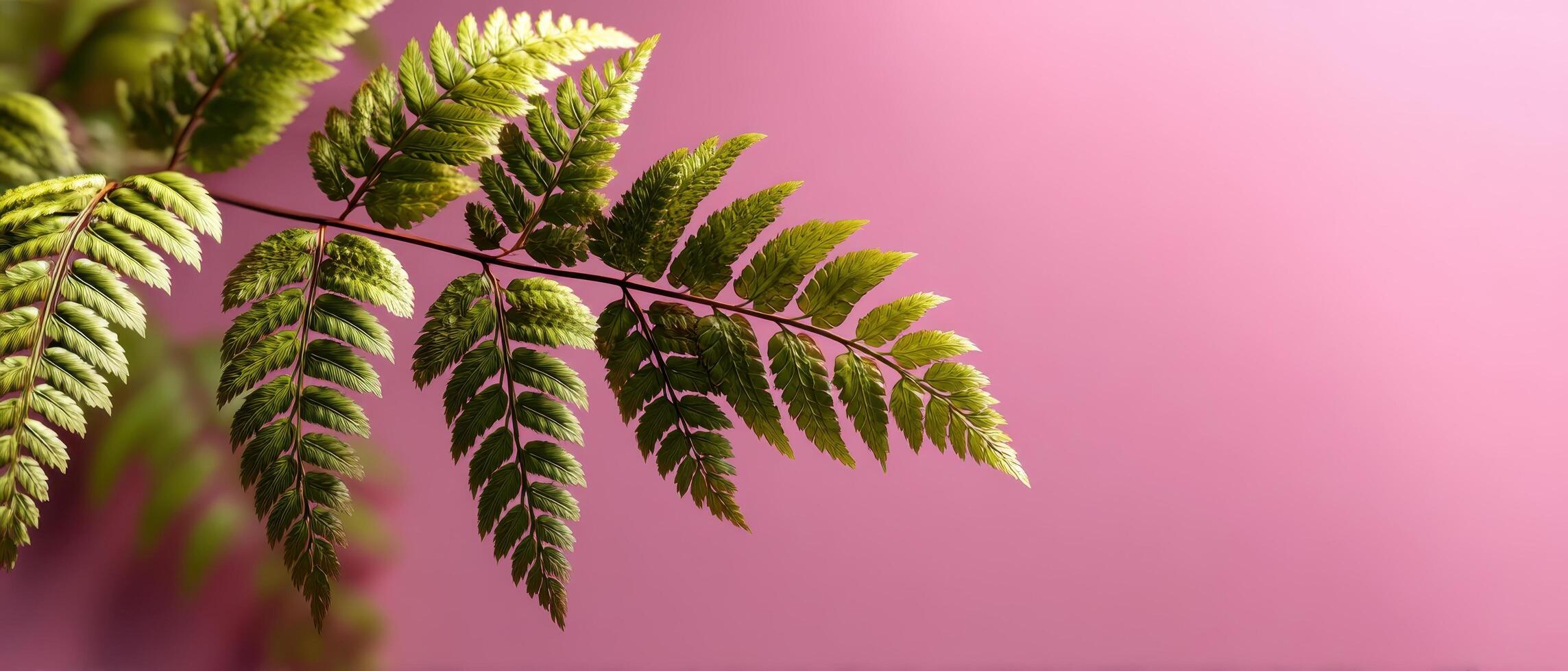 Foliage Close-Up Soft Pink Background Nature Photography Indoor Setting Minimalist View Copyspace for Design photo
