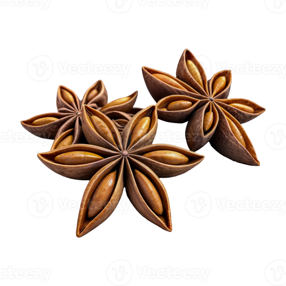 Three dried star anise close-up top view of chinese badiane spice or Illicium verum png