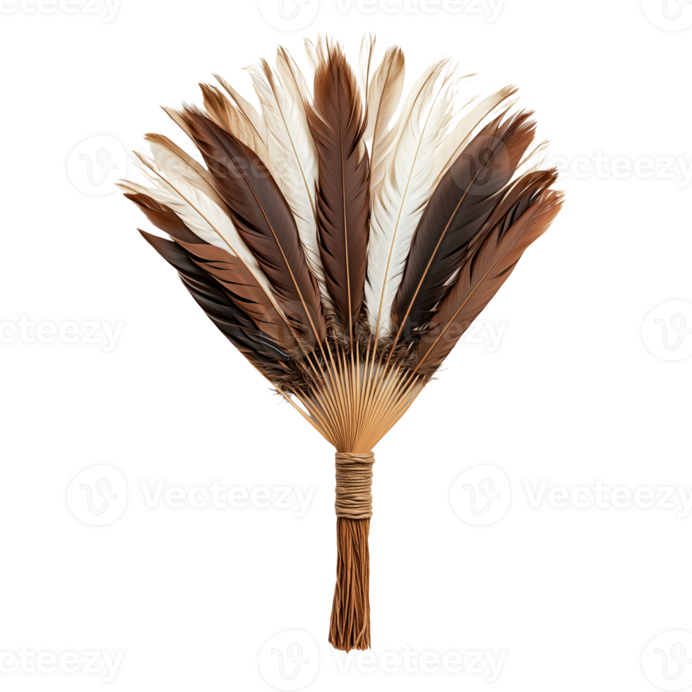 Elegant Decorative Fan Made of Colorful Natural Feathers png