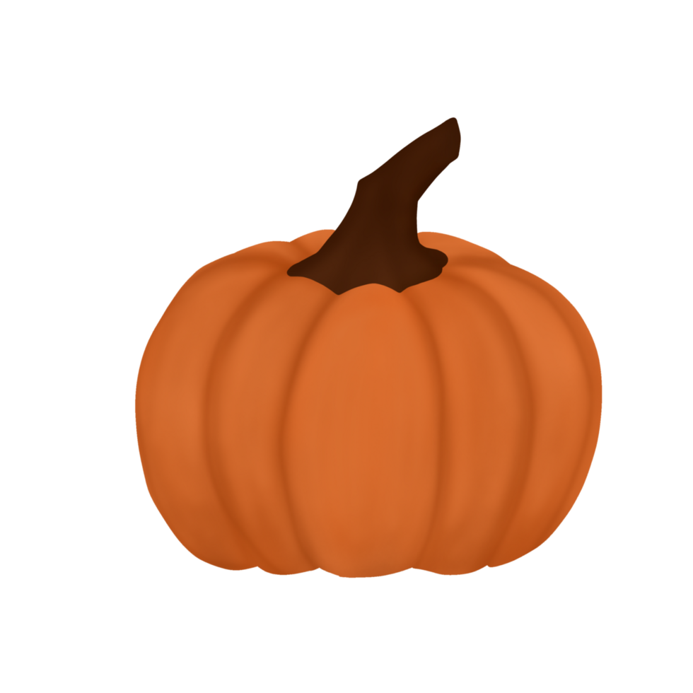Simple Pumpkin illustration png