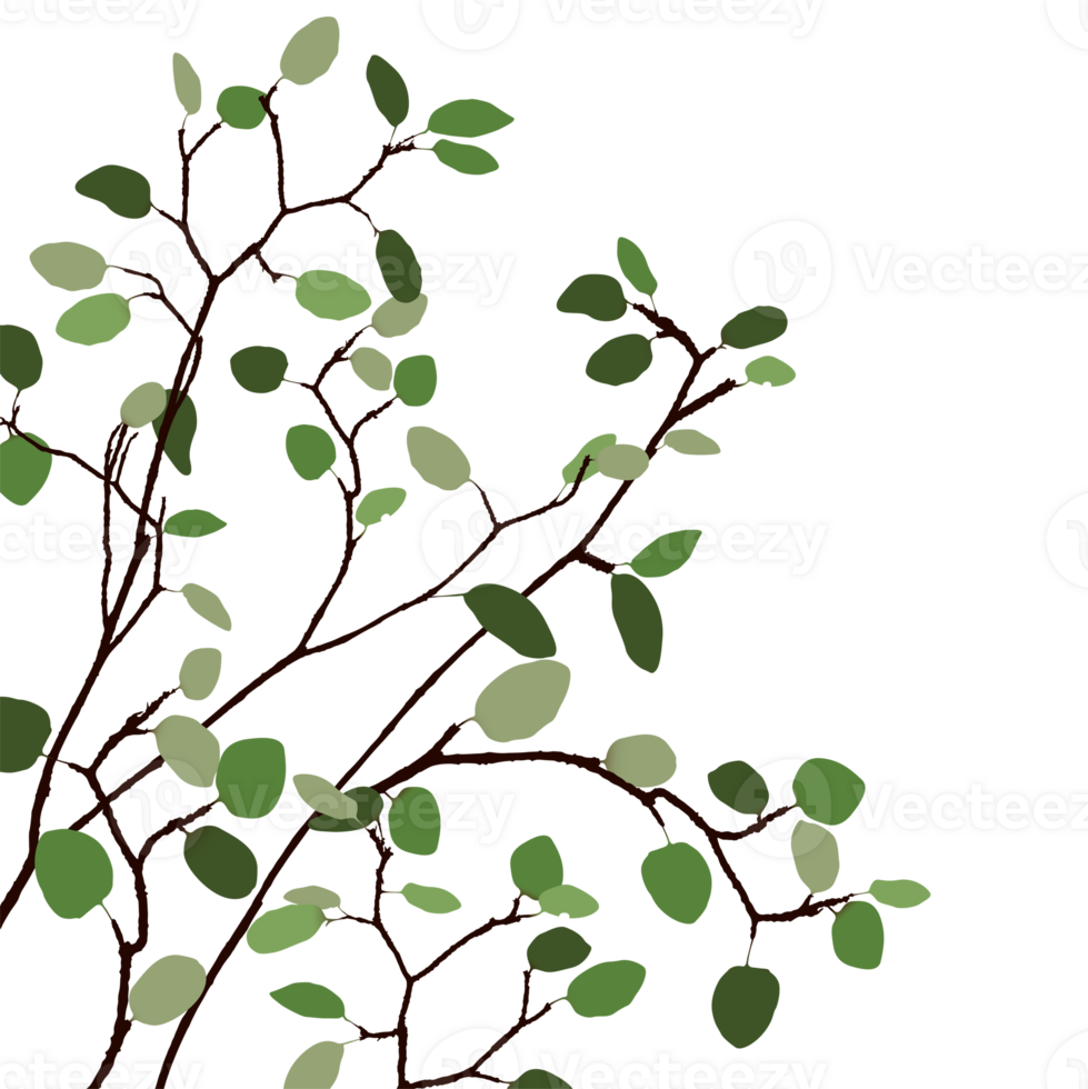 Tree branch with green leaves isolated square template graphic illustration. png