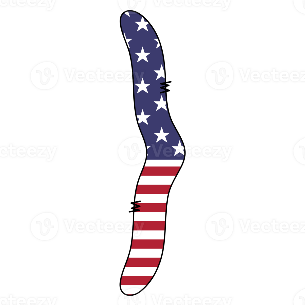 American Style Right Curly Brace Symbol png