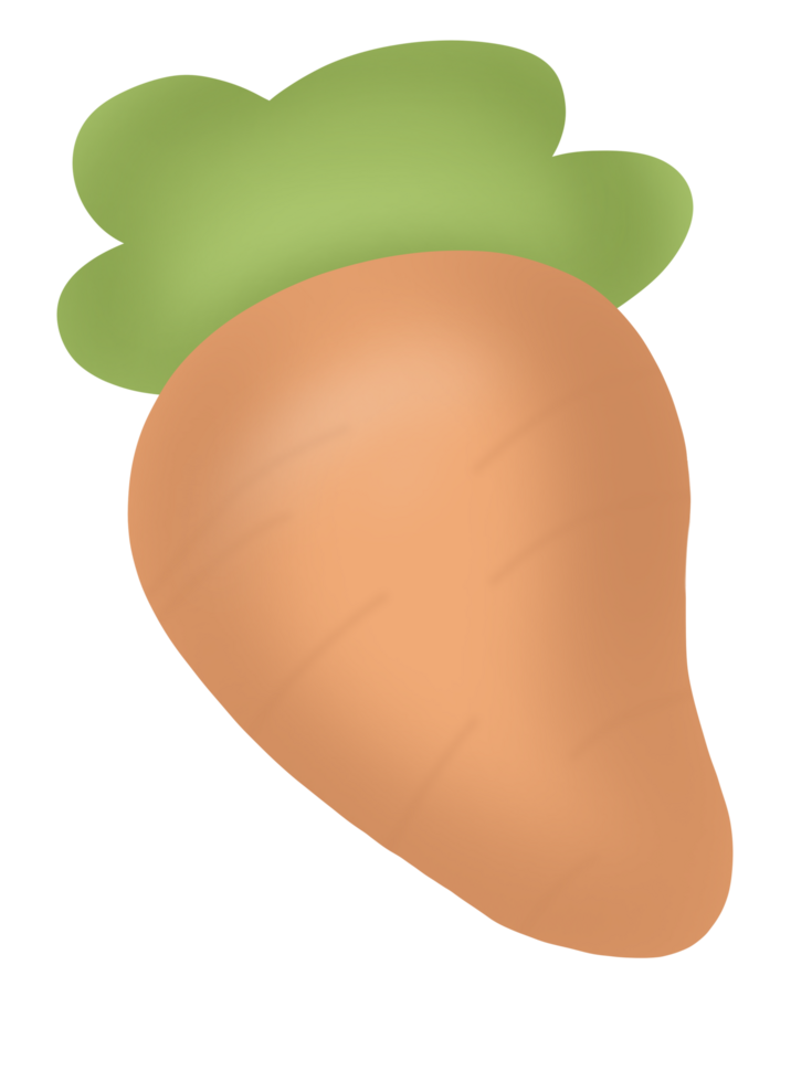 Smooth Carrot Illustration png