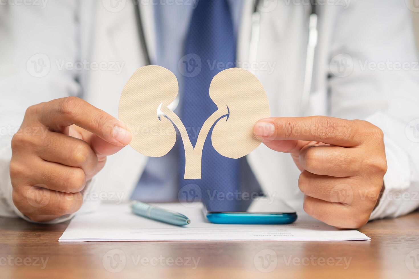 A Doctor in a uniform holding a kidney symbol while sitting at the desk photo