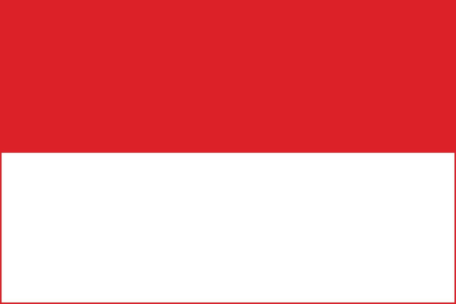 Rectangle Indonesia Flag Asian Country vector