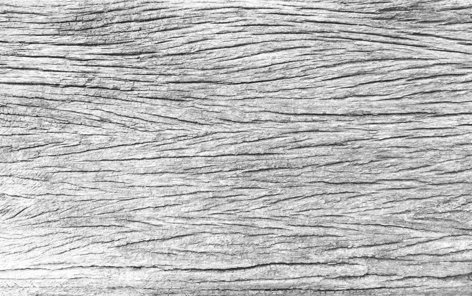 White wood texture with beautiful natural patterns in retro concept.background in vintage style for wallpaper. photo
