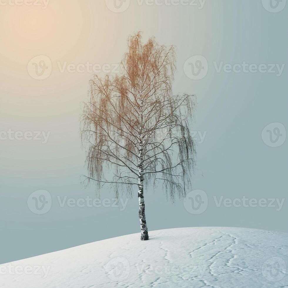 A lone tree stands on top of a snowy hill photo