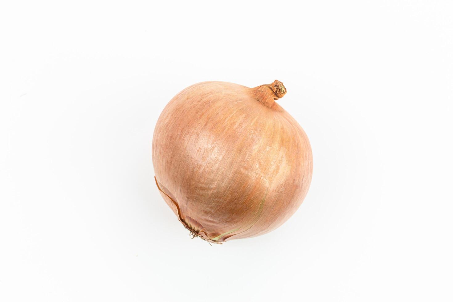 onion isolated on white background with copy space for your text. photo