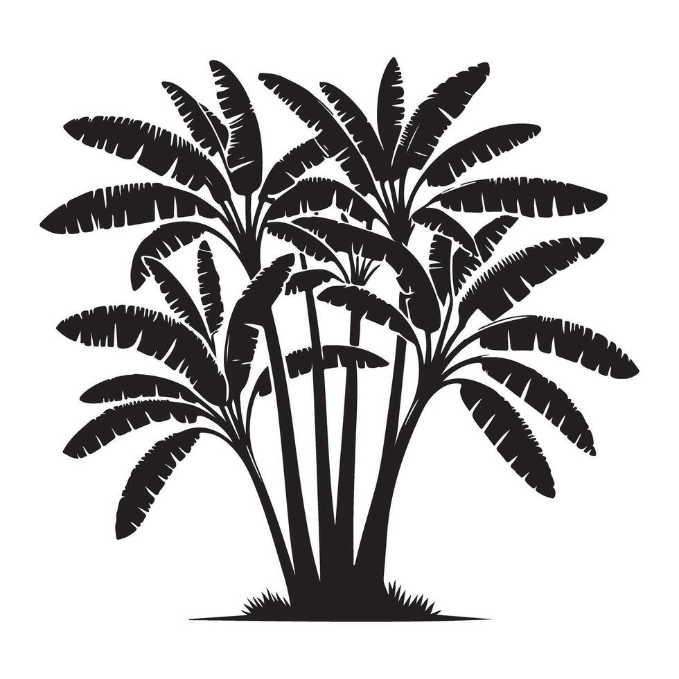 Banana tree silhouette illustration for tropical graphic design vector