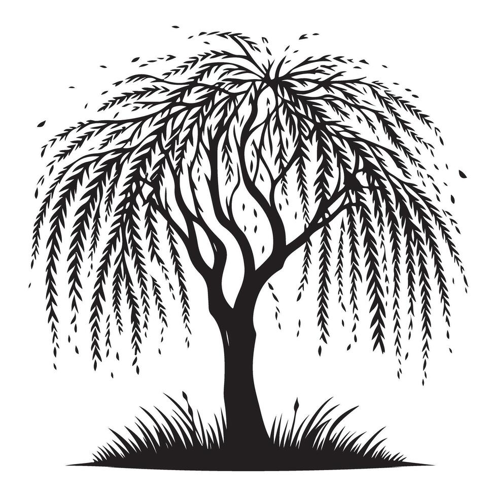 Weeping Willow Tree Silhouette Graceful Branches Nature Landscape Design vector