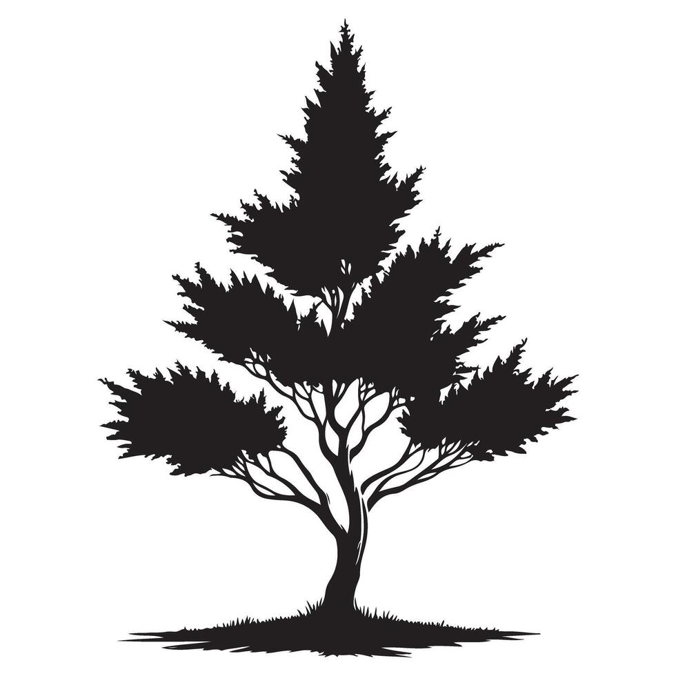 Detailed Pine Tree Silhouette Art for Graphic Design Projects vector