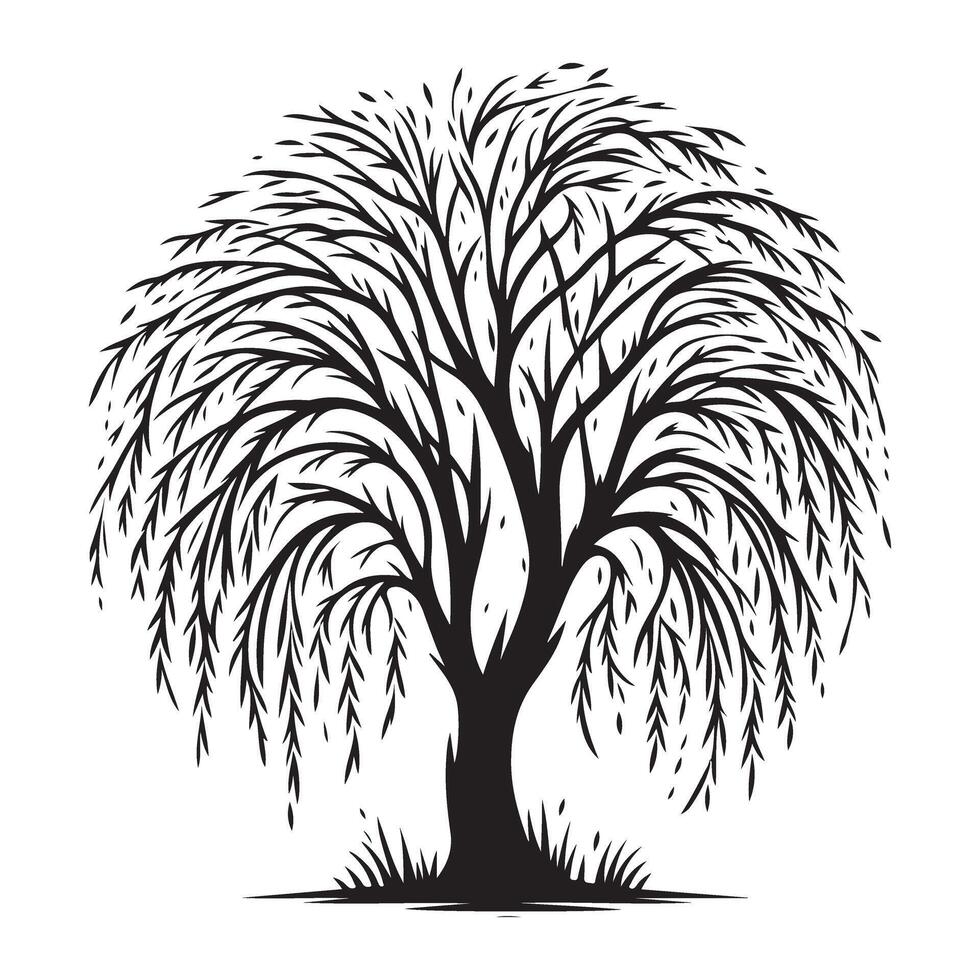 Elegant Weeping Willow Tree Silhouette Illustration for Artistic Compositions vector