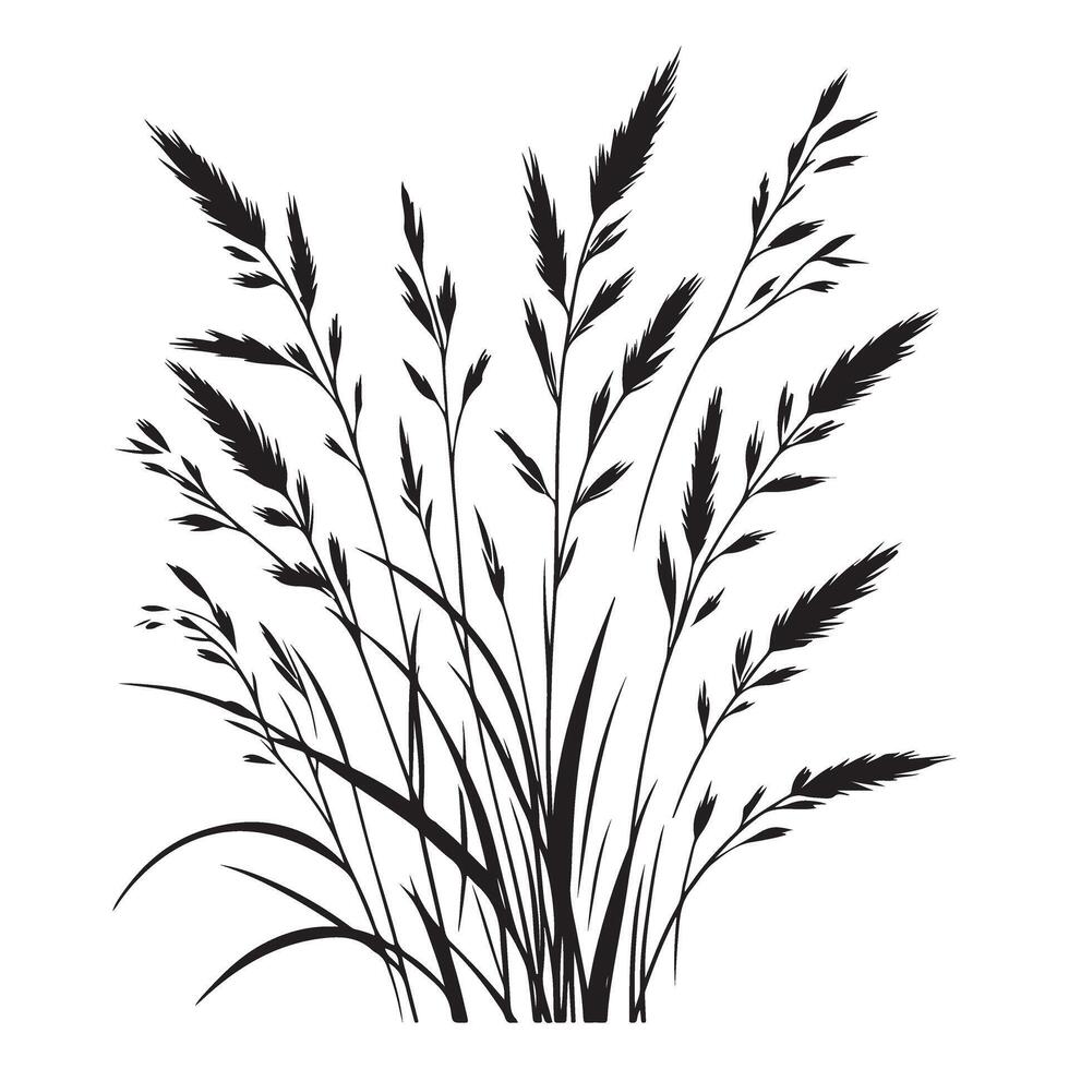 Silhouette field of wheat grain illustration design art vector