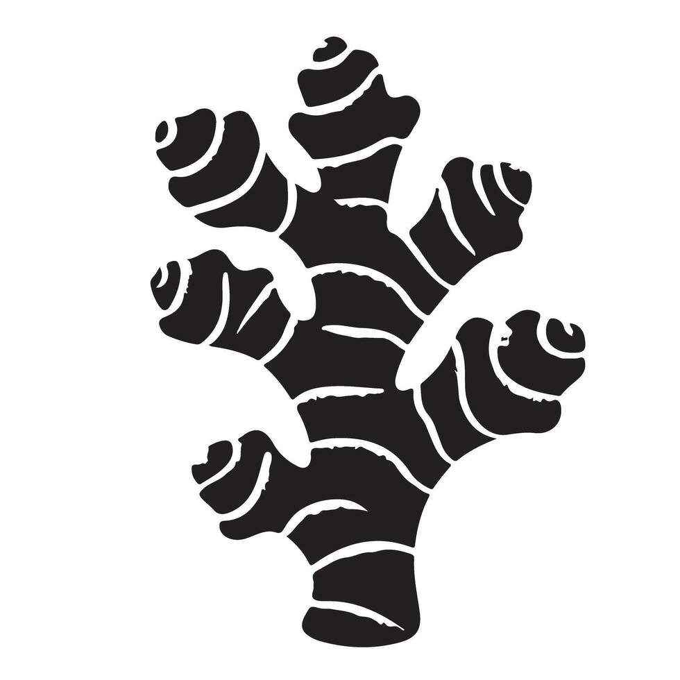 Ginger silhouette image for natural spice and food illustration vector