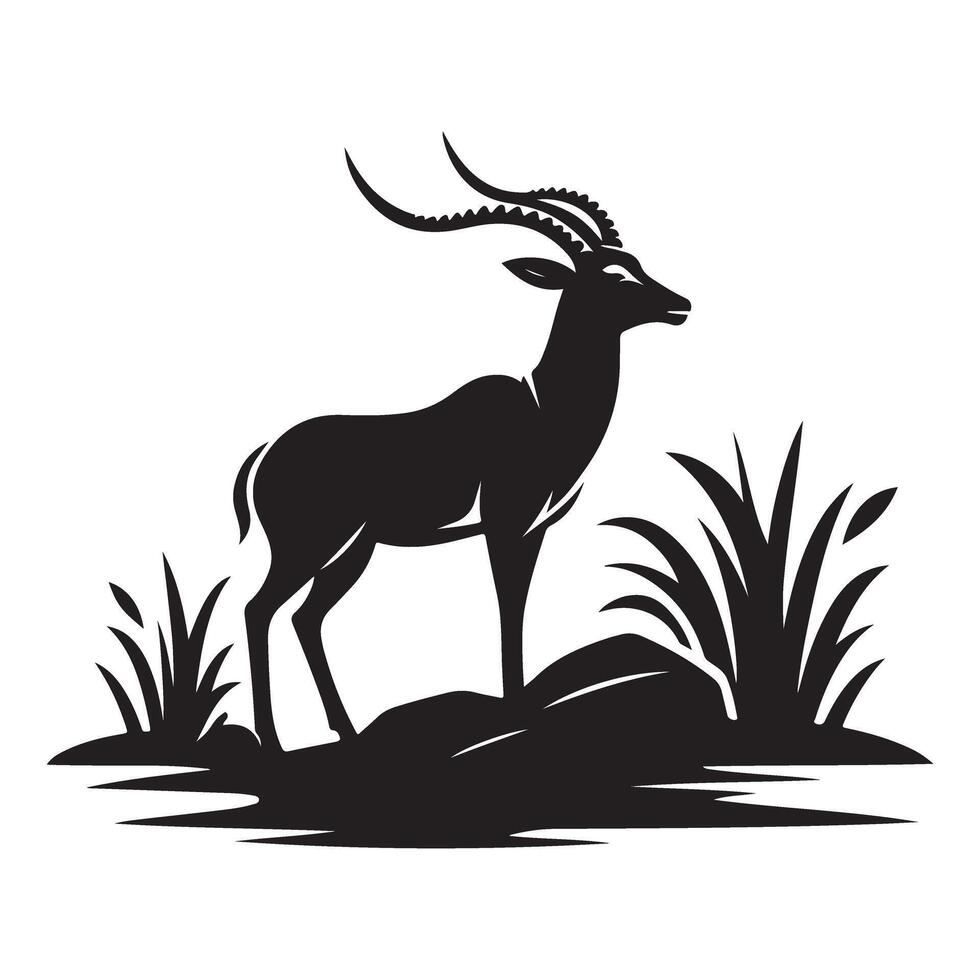 Springbok Standing Elegantly in Nature African Wildlife Scene Graphic vector