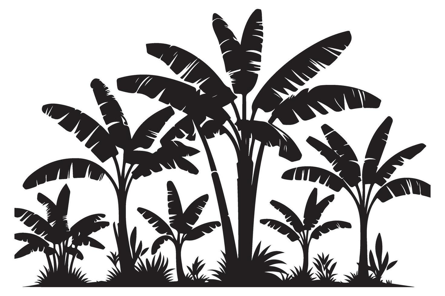 Silhouette of Lush Tropical Banana Trees Nature Illustration vector