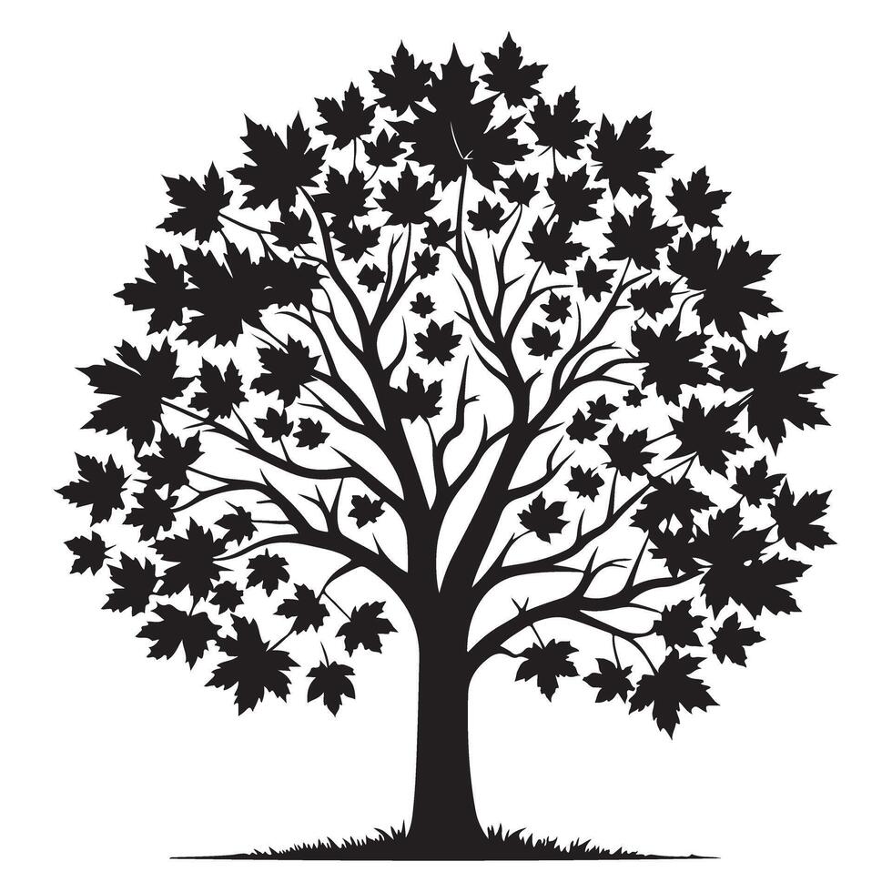 Majestic Maple Tree Illustration with Dense Leaves in Black vector