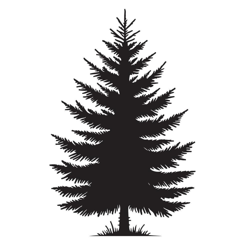 Simple Silhouette Evergreen Tree Illustration Design Element vector