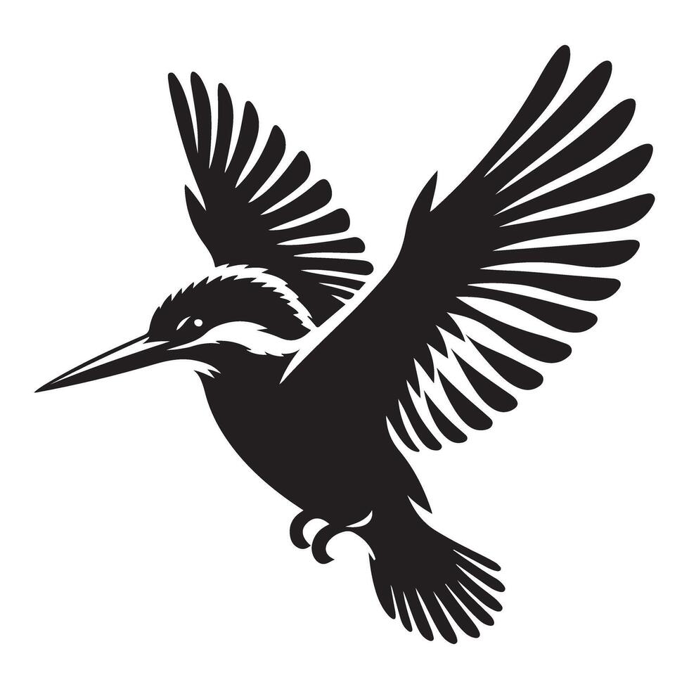 Kingfisher bird flying wings spread graphic illustration vector