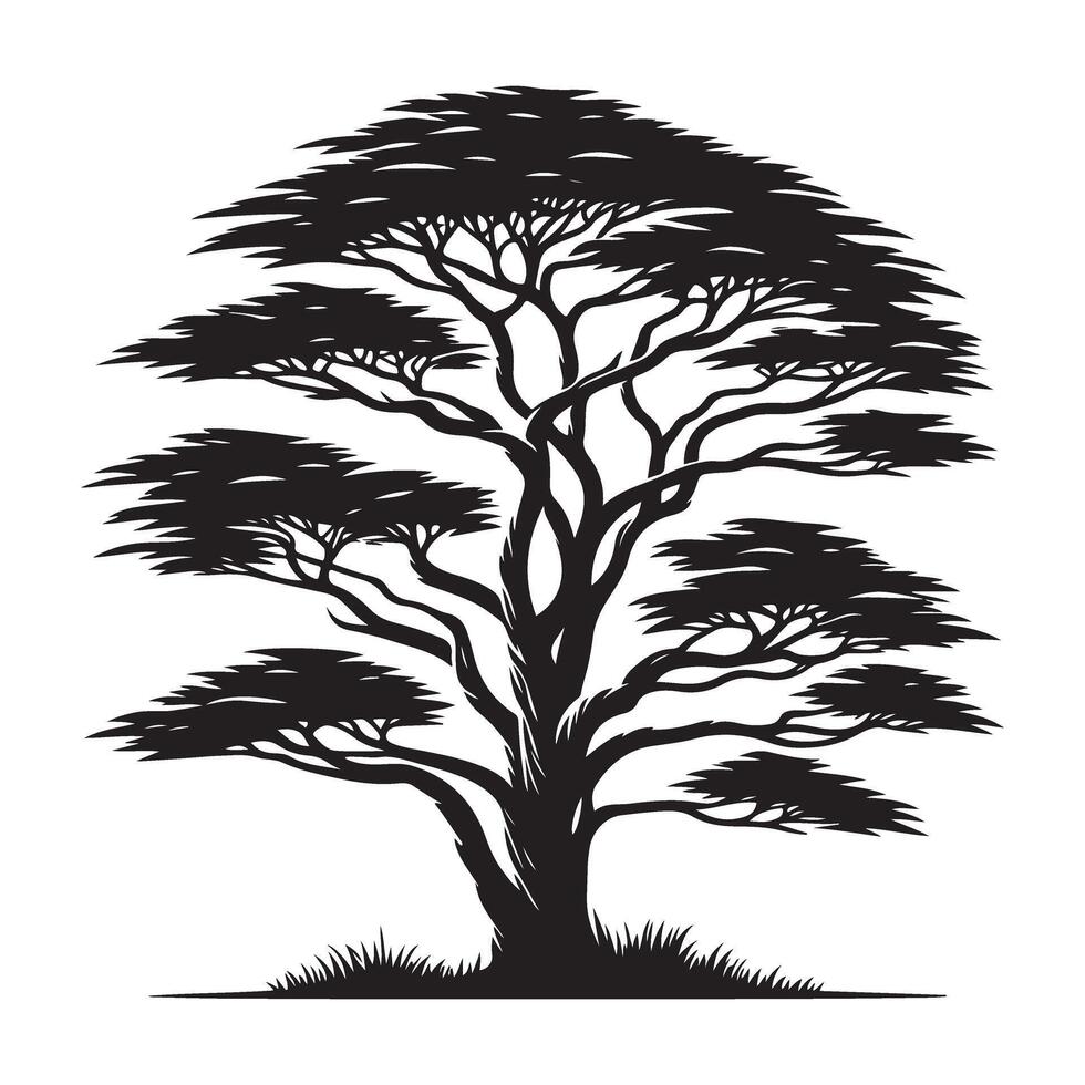 Detailed Silhouette of Acacia Tree Illustration Design vector