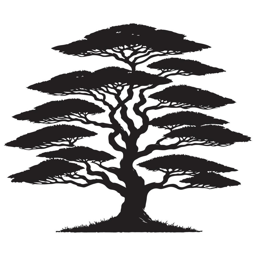 Magnificent Umbrella Thorn Acacia Tree Silhouette Illustration for Design Projects vector