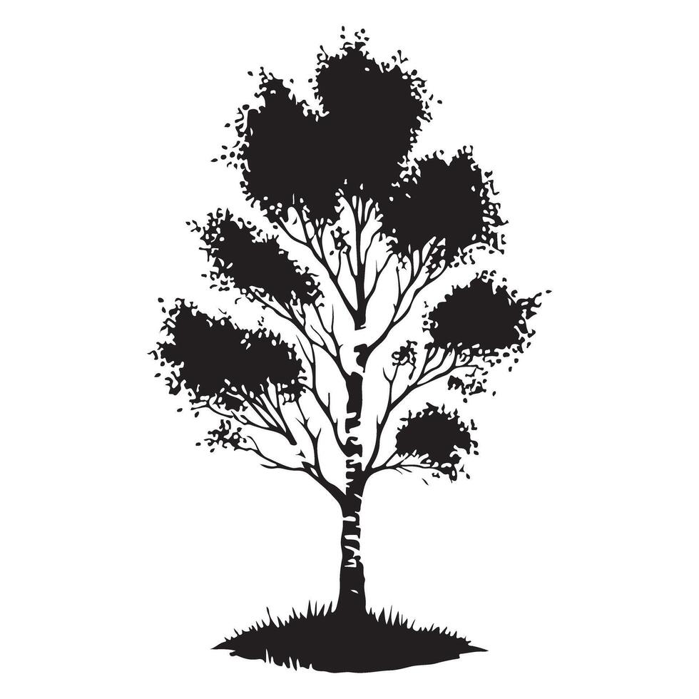 Detailed Birch Tree Silhouette Illustration for Graphic Design vector