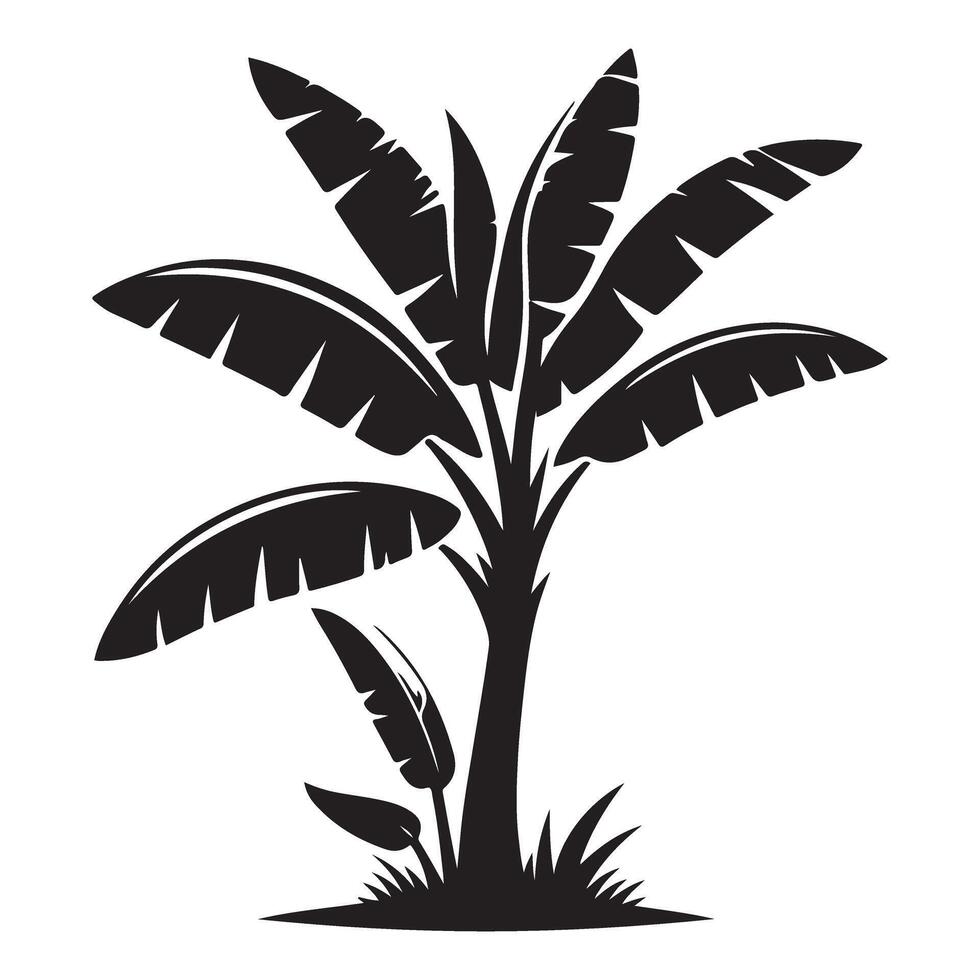 Banana Tree Silhouette Illustration for Tropical Fruit and Nature Designs vector