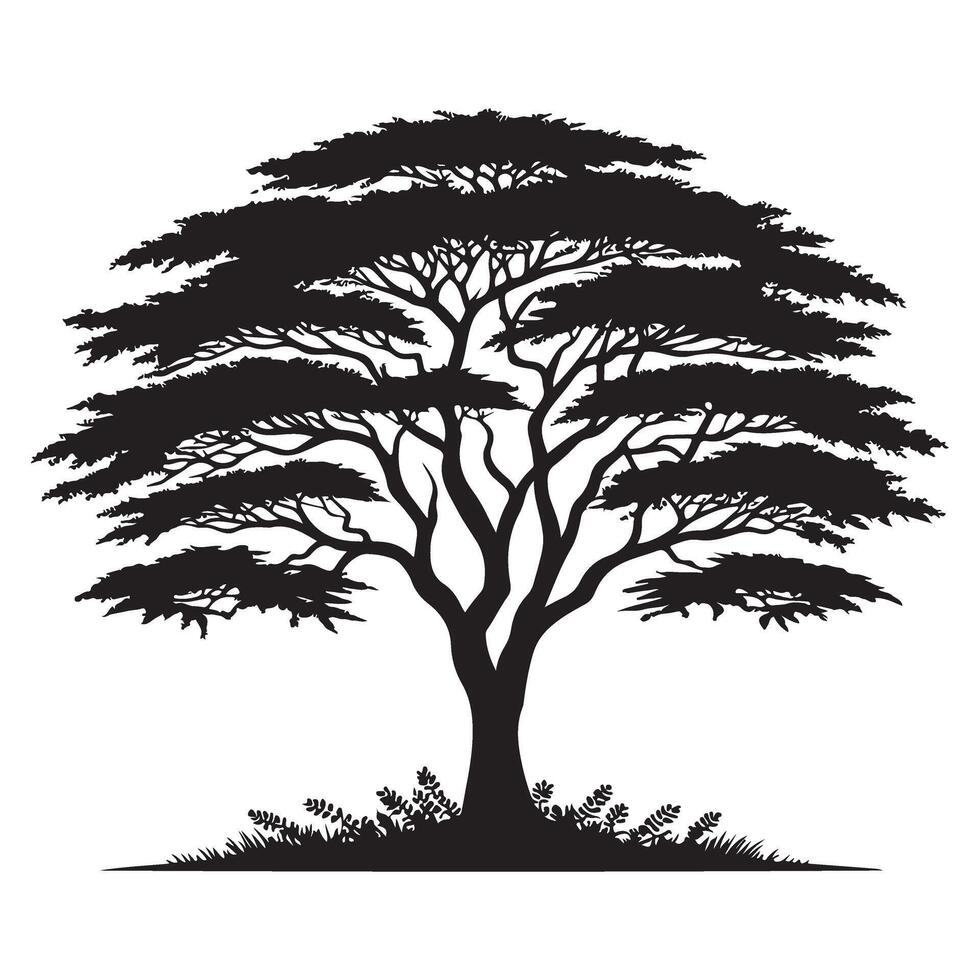 African Acacia Tree Silhouette Illustration for Safari Themes vector