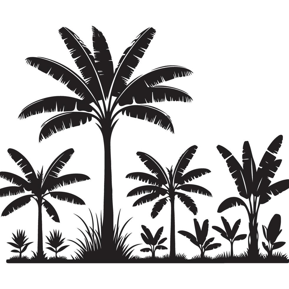 Banana Palm Tree Silhouette Set for Exotic Design vector