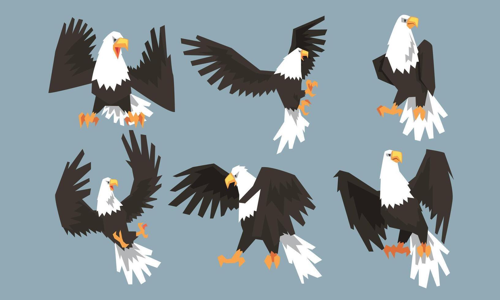 Collection of Bald Eagles in Various Poses, Pride and Power Predatory Bird Illustration vector