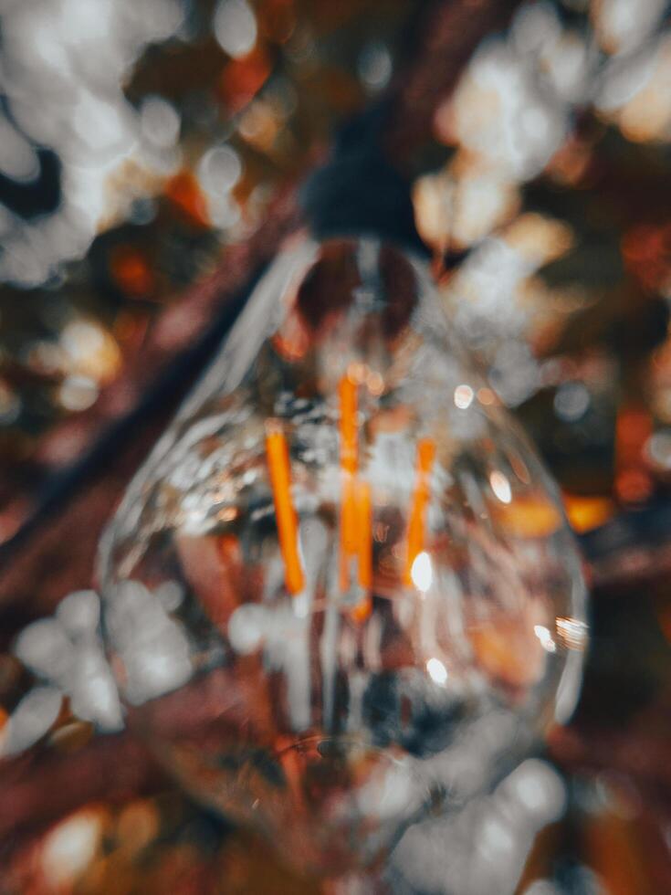 Warm natural light reflecting through a glass bulb, with blurred greenery in the background. Captured outdoors, this image evokes serenity, innovation, and the harmony of nature and human creativity. photo