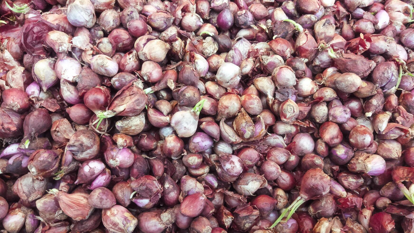 Pile of Freshly Harvested Red Onions Displayed at a Farmer's Market photo