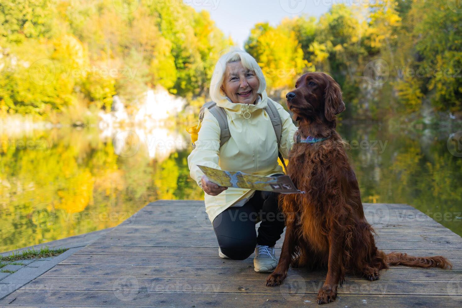 Happy senior 60s woman holds travel map searching location, with her best friend irish setter dog wear casual clothes in the autumn forest. photo