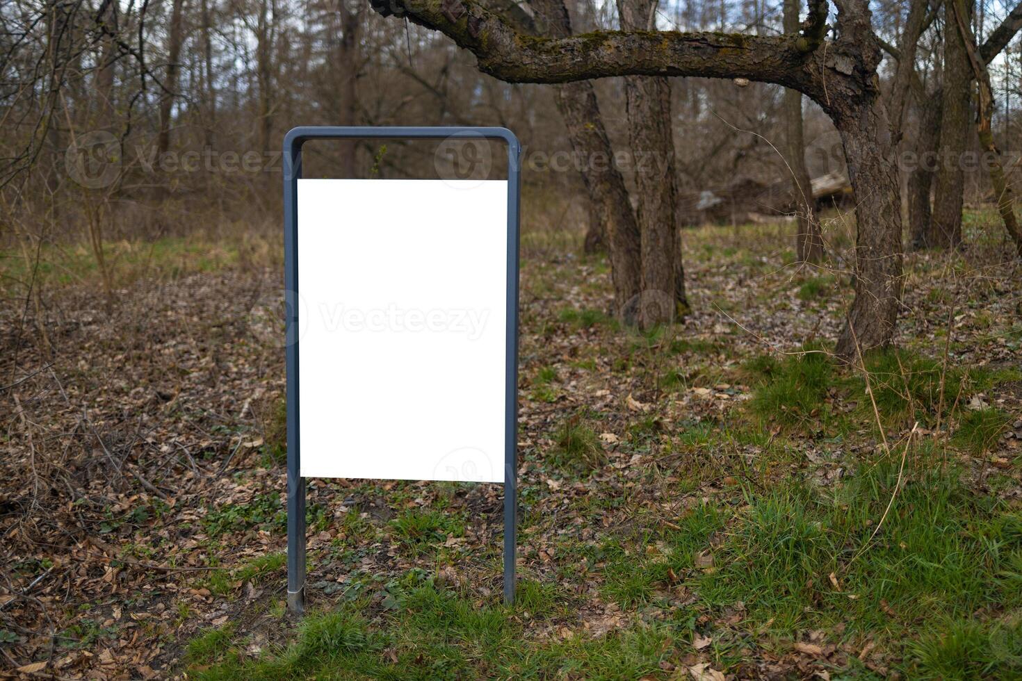 Empty Billboard in a Forest with Blank Space for Advertisement. Park indications and regulations. photo