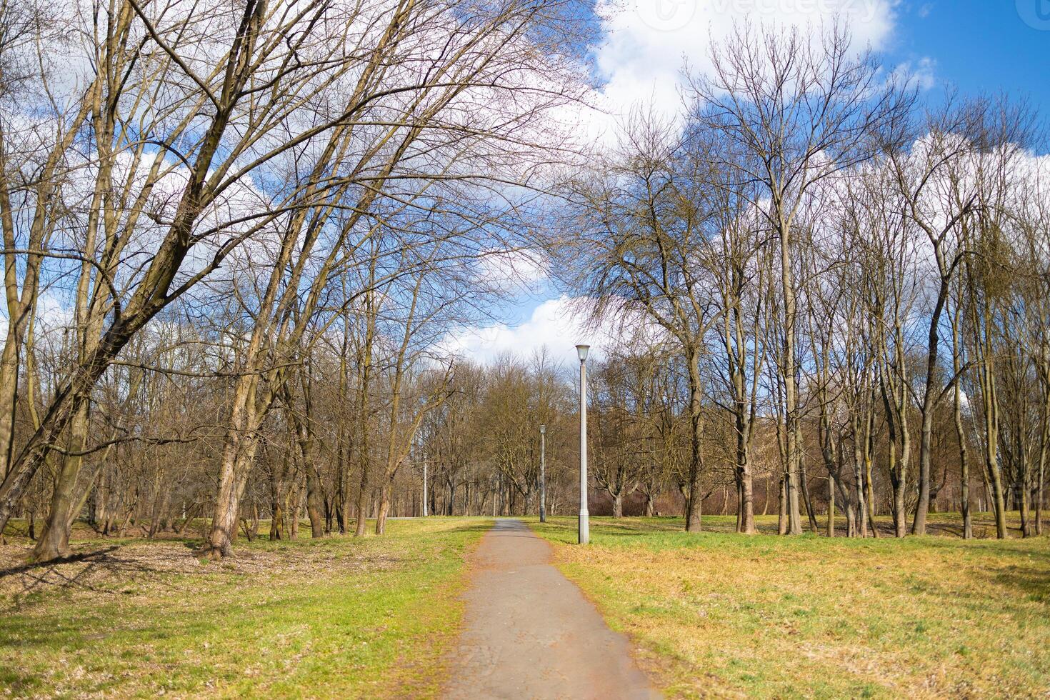 Wide Park Path in Spring with Bare Trees and Clear Blue Sky photo