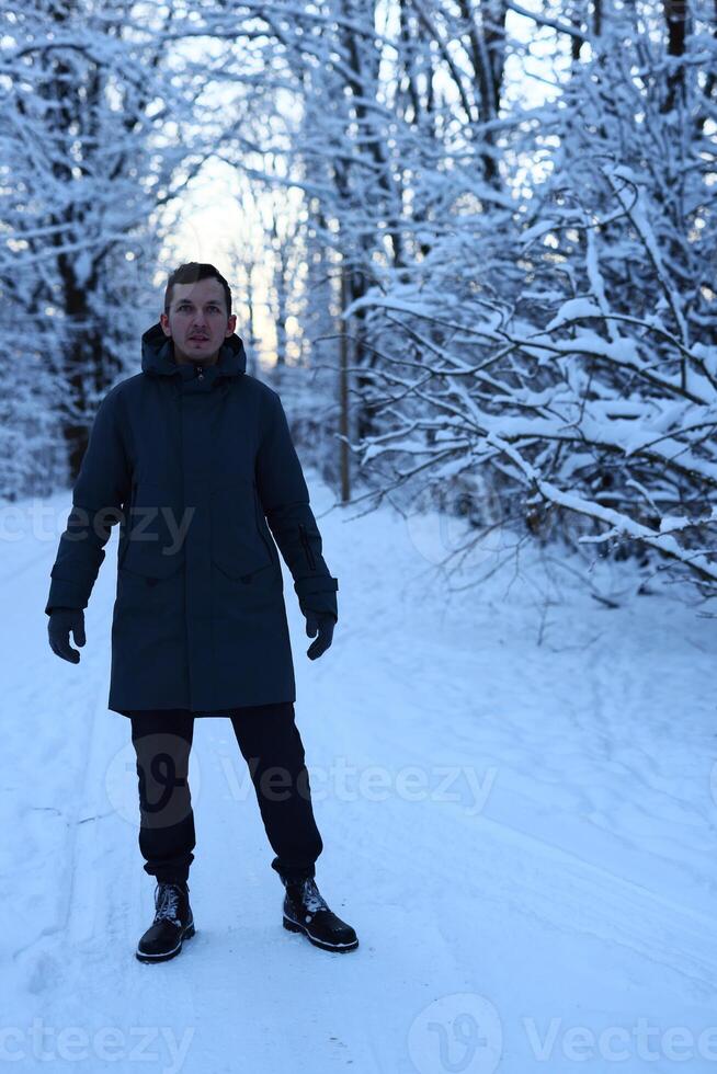A beautiful and serene snowy landscape featuring a person dressed in a warm winter coat photo
