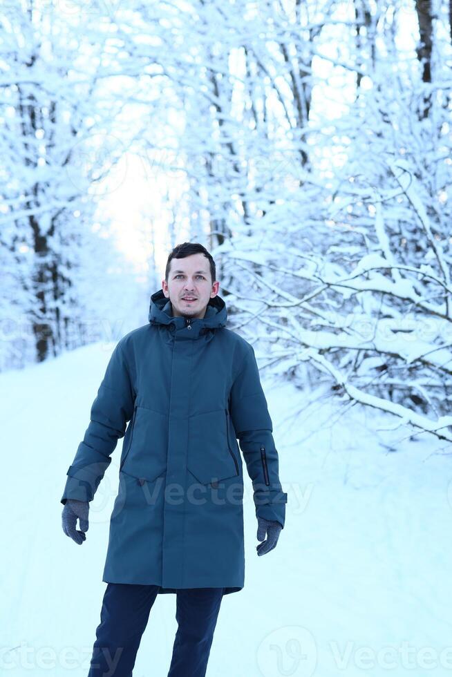 A person enjoying a beautiful winter landscape among the trees that are covered in snow photo