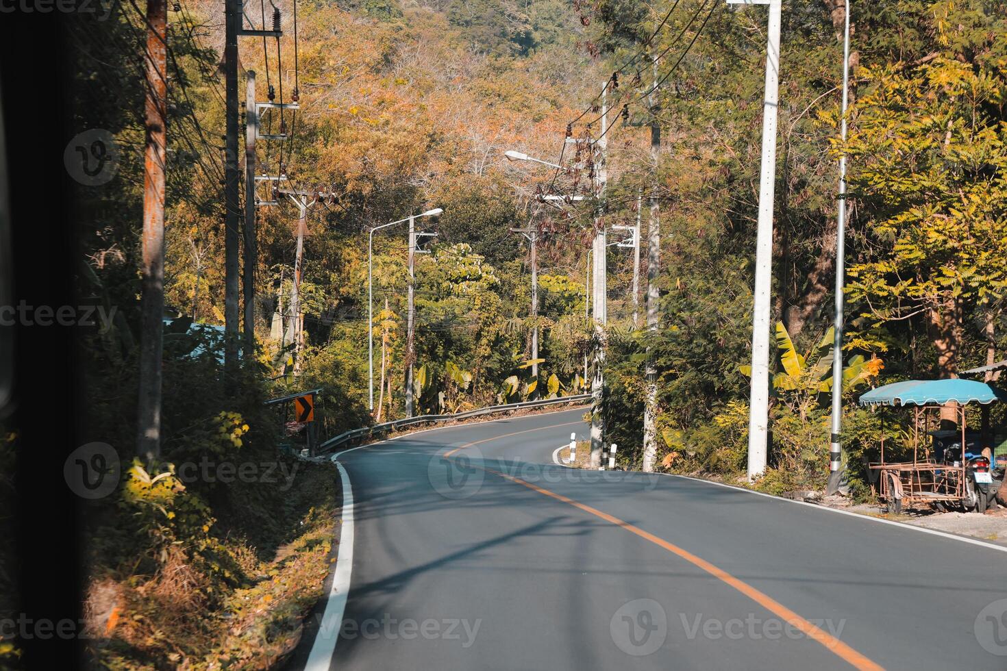 A Winding Road That Thoroughly Meanders Through a Serene and Picturesque Nature Landscape photo