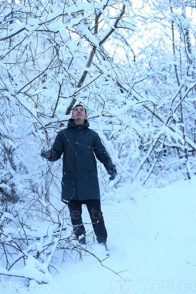 A person enjoying a Winter Wonderland experience, surrounded by beautiful snowy trees photo