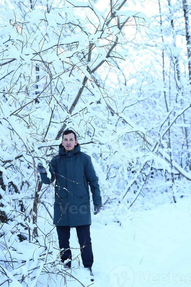 A person finds themselves in a beautiful Winter Wonderland, surrounded by snowy branches photo