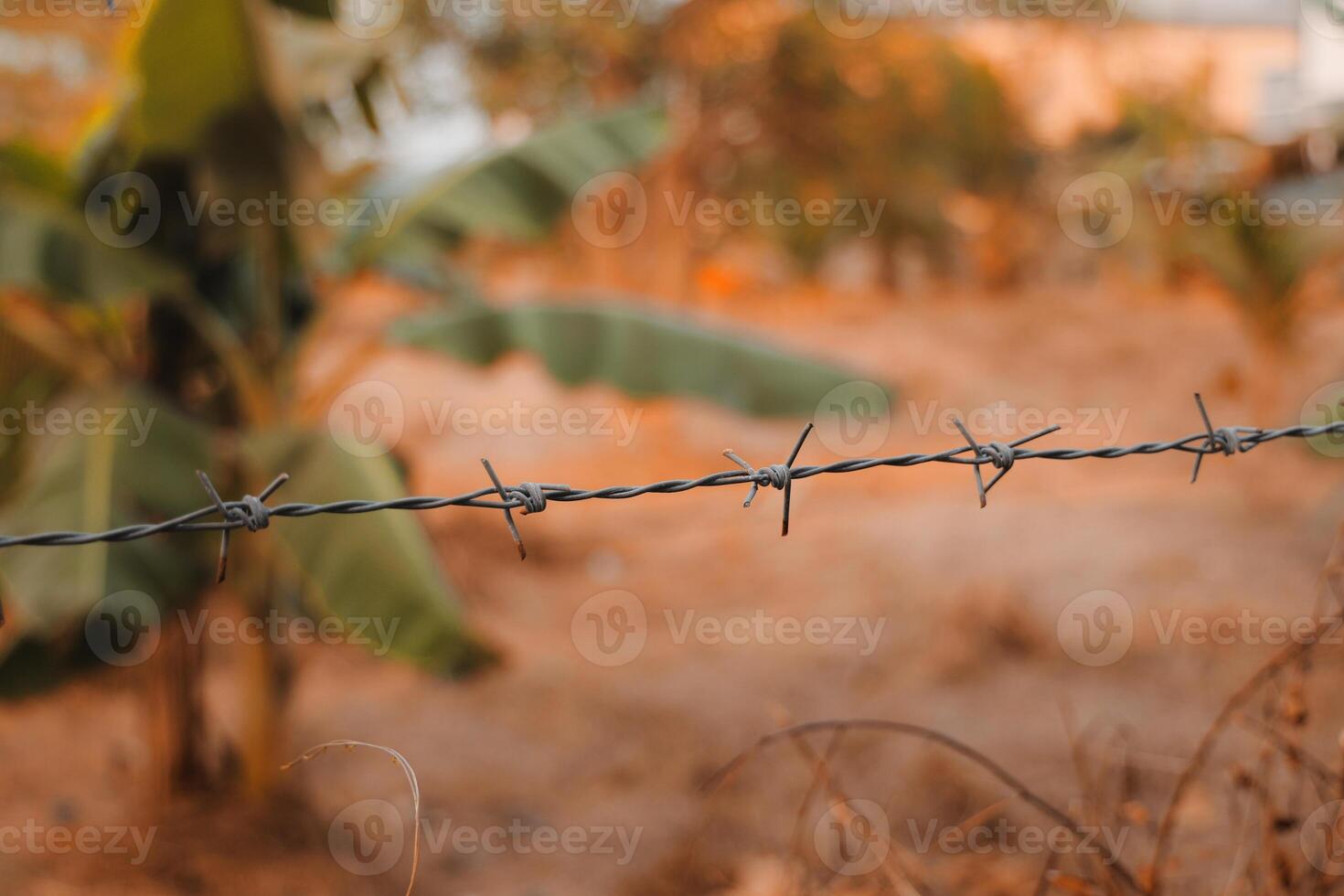 Barbed Wire Fencing Set Against a Beautiful Natural Landscape Background That Inspires Calmness photo
