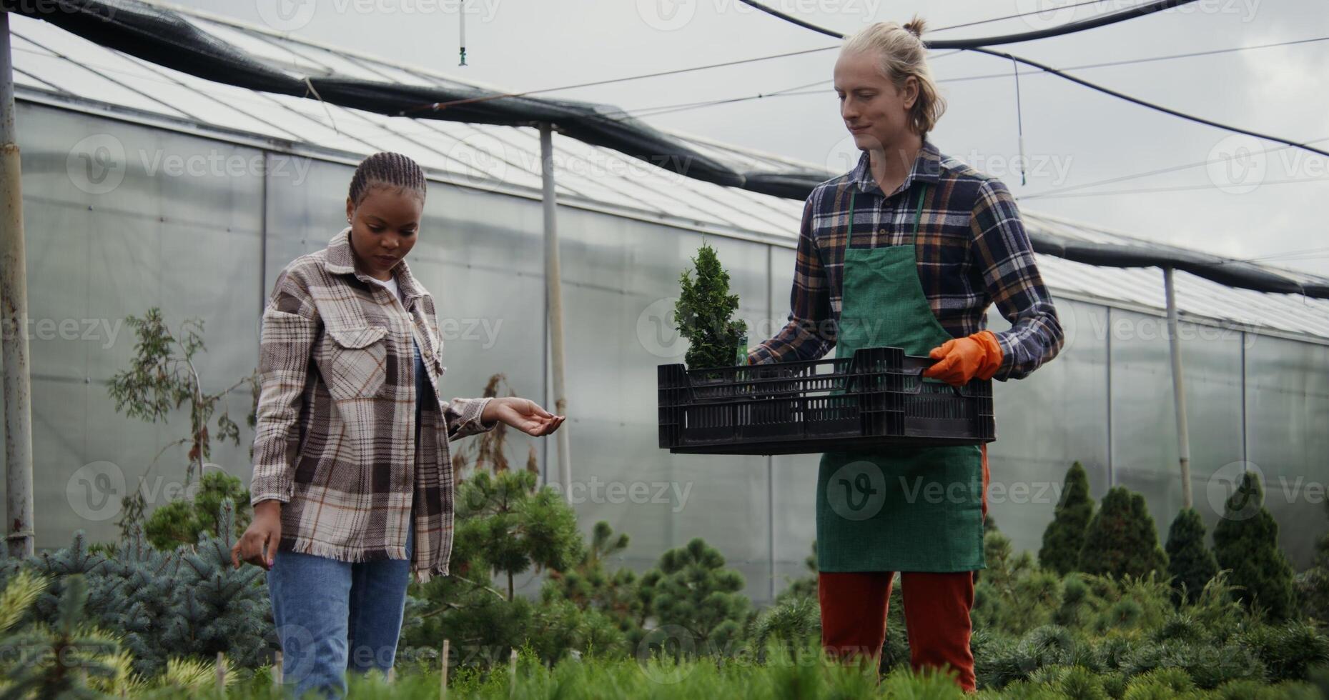 Two people in a greenhouse holding a box of plants photo