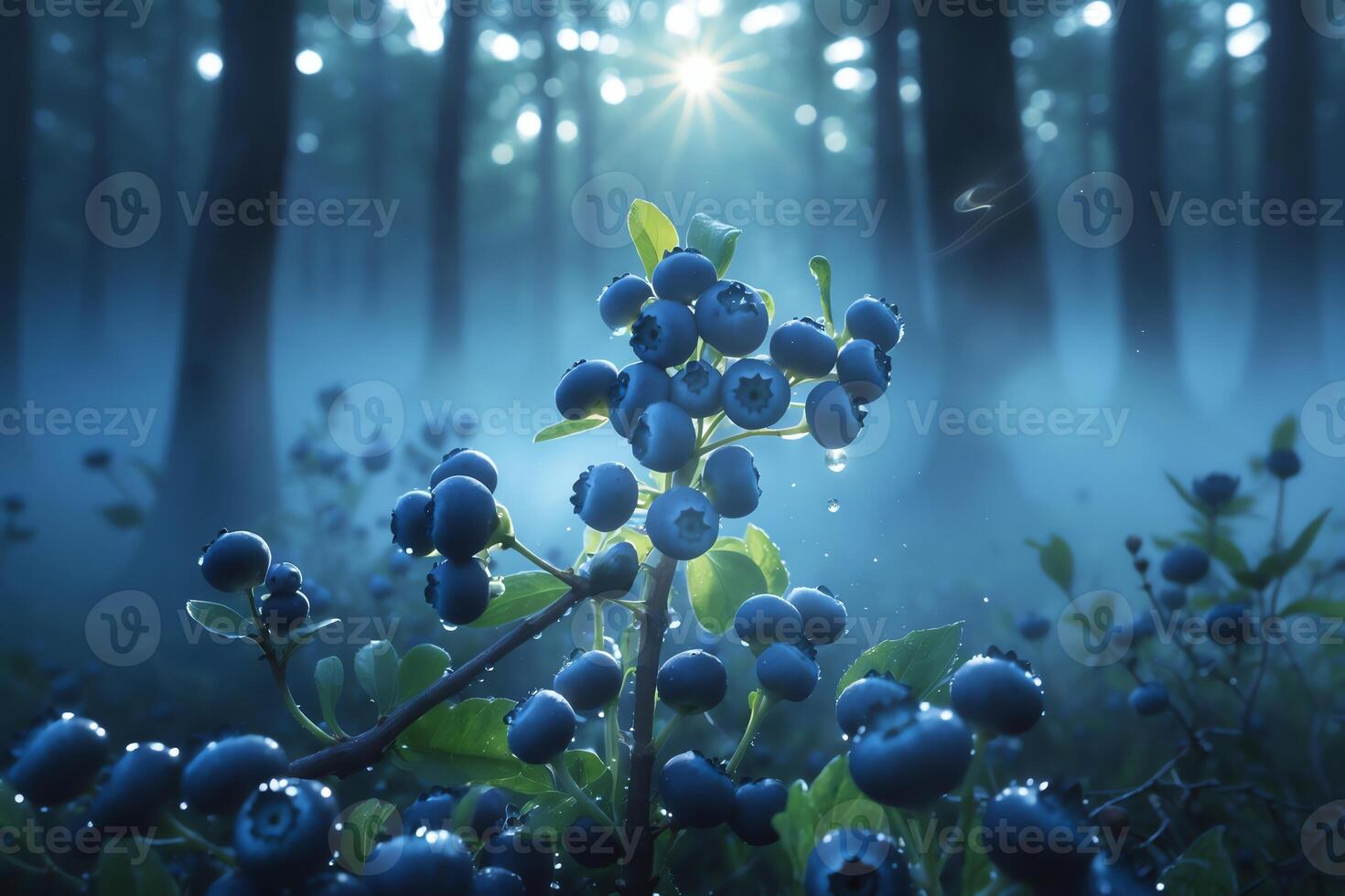 Ripe Blueberries with Water Droplets in Forest Setting Against Sunlight photo