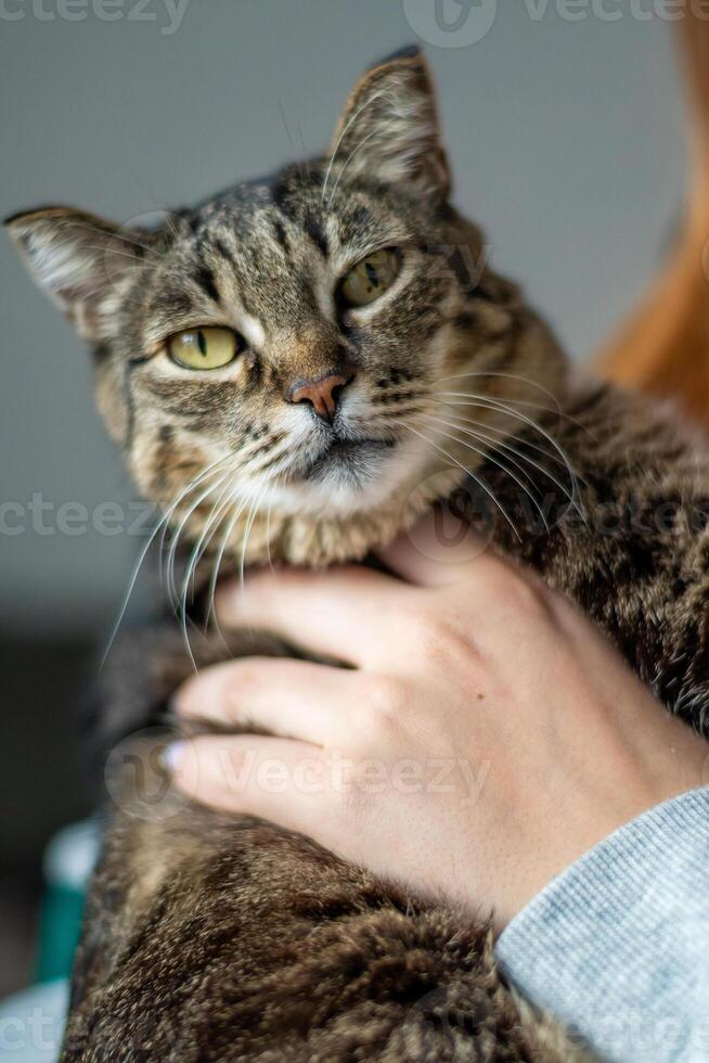 A woman holding a cat photo