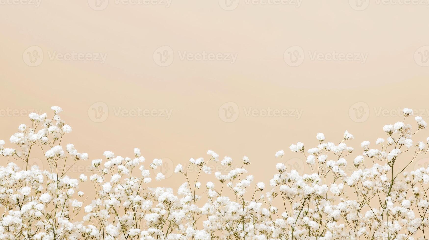 Delicate white flowers on soft beige background photo