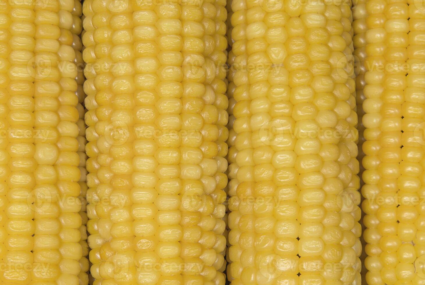 Corn cobs close up background photo