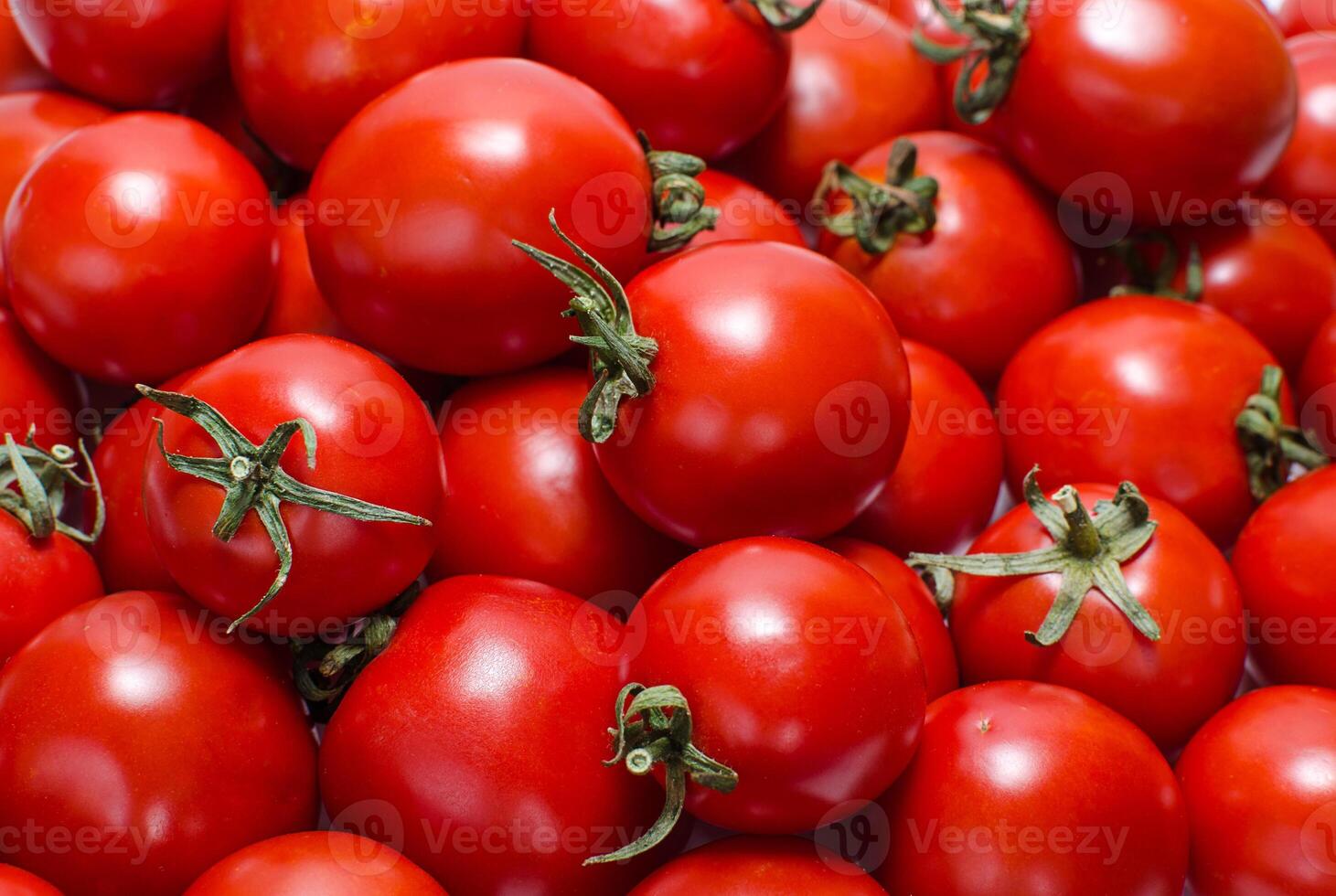 Heap of ripe tomatoes photo