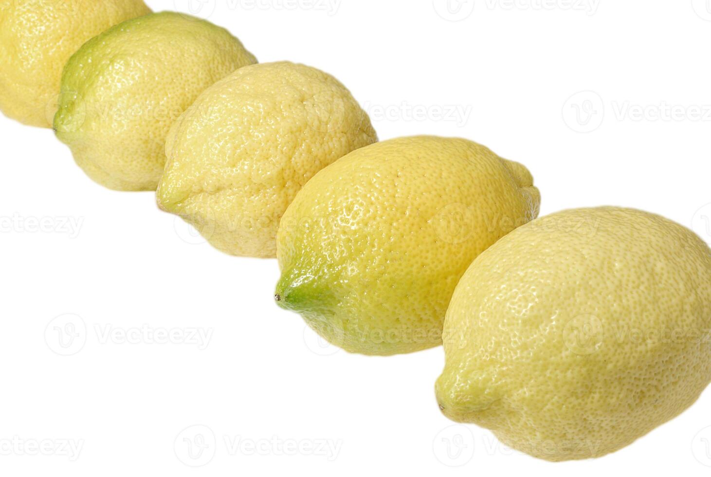 Row of fresh lemons on white background photo