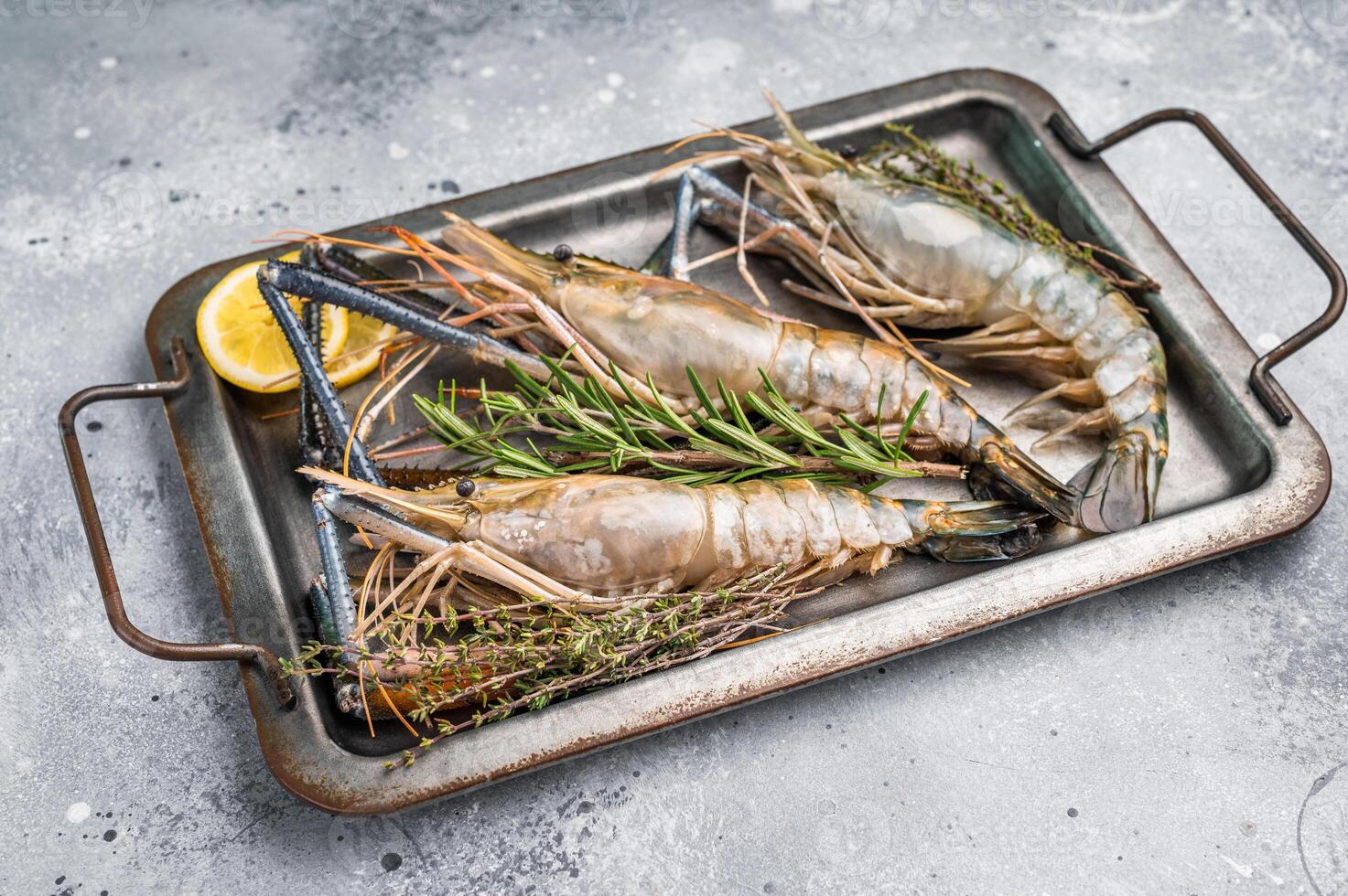 Freshly caught raw rosenbergii prawn displayed elegantly, highlighting their natural beauty and premium quality. grey background. top view photo